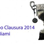 Copa Clausura 2014 LHV